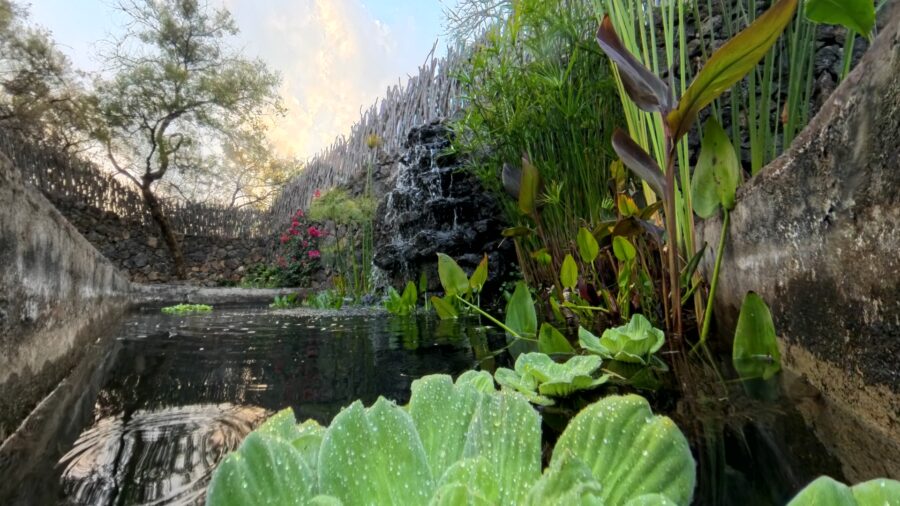 Plantas de Tratamiento de Agua Residual Sustentable