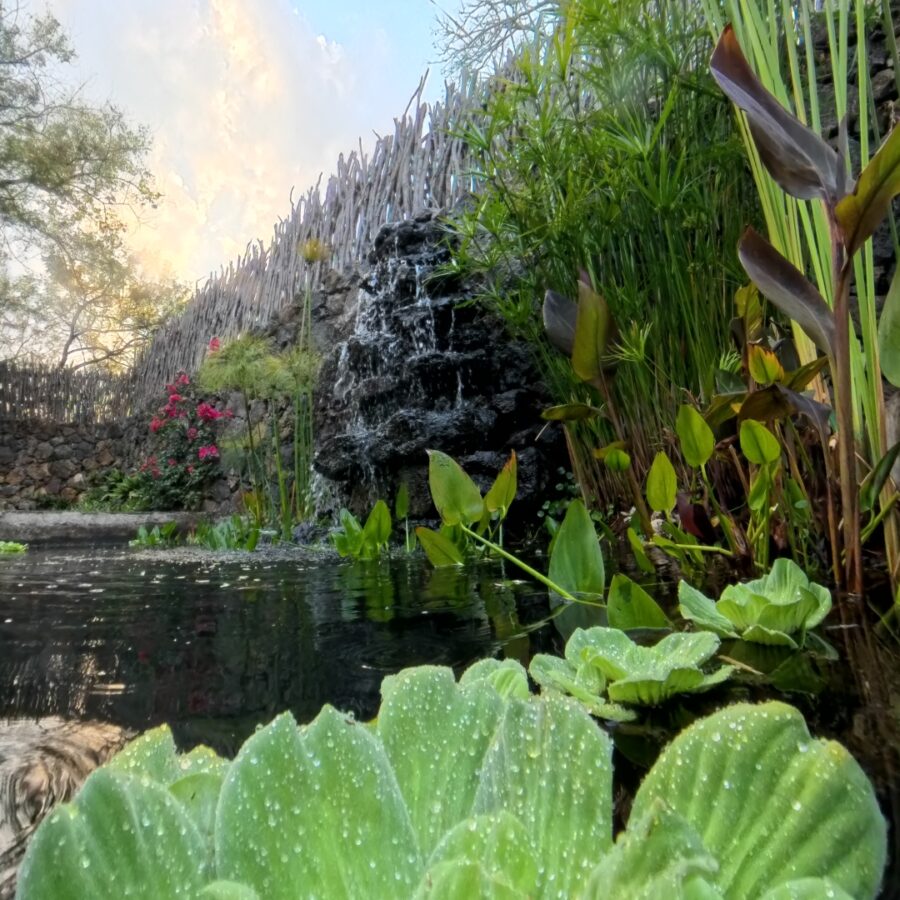 Plantas de Tratamiento de Agua Residual Sustentable