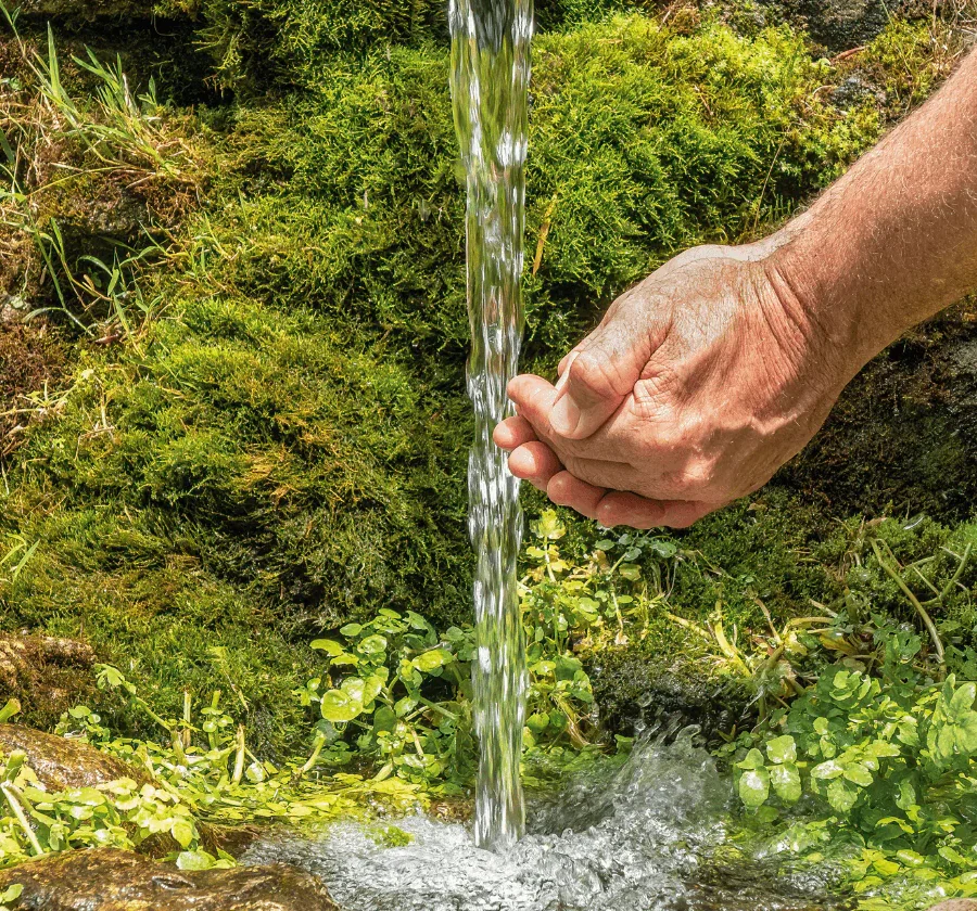 Sistemas de filtración y purificación